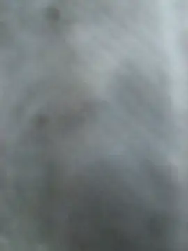 Hottypriya69 online show from 11-02-25, 02:41