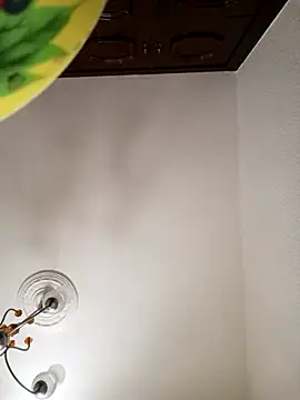 DEWOLT18 online show from 02-08-26, 09:34