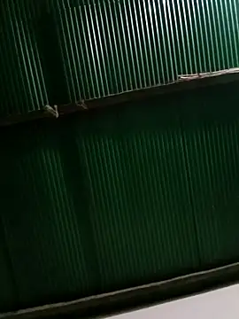 Jessica-03 online show from 04-24-26, 04:53