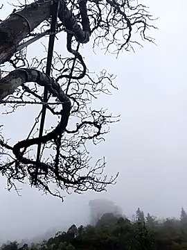 Snapshot of siusiu-00 chatting on 11-01-25, 01:07 siusiu-00 online show from 11-01-25, 01:07