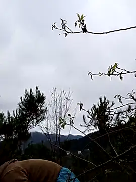 Snapshot of siusiu-00 chatting on 11-19-25, 12:54 siusiu-00 online show from 11-19-25, 12:54