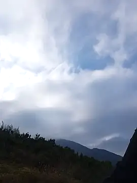 Snapshot of siusiu-00 chatting on 11-22-25, 08:24 siusiu-00 online show from 11-22-25, 08:24