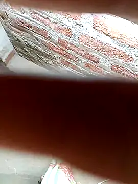 Rajni chauhan online show from 11-25-25, 09:42