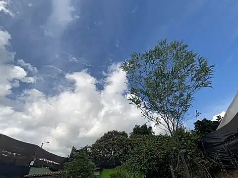 moon2 1  online show from 12-04-25, 07:55