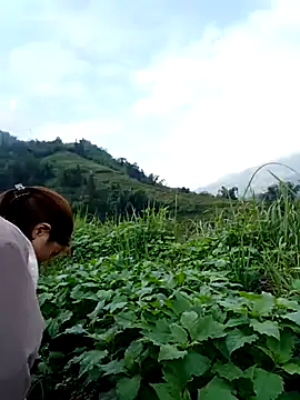 Snapshot of omai-ngot chatting on 11-15-25, 01:14 omai-ngot online show from 11-15-25, 01:14