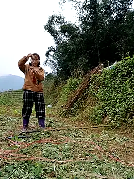 Snapshot of omai-ngot chatting on 11-17-25, 02:17 omai-ngot online show from 11-17-25, 02:17