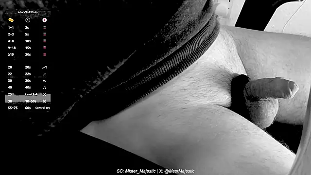 Mister Majestic online show from 11-19-25, 03:34