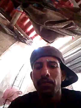 Orlao25cm online show from 10-20-25, 08:20