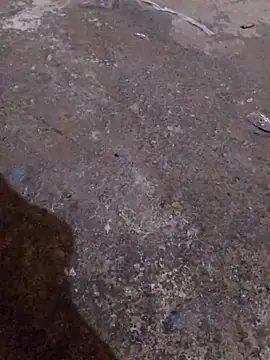 Orlao25cm online show from 11-16-25, 04:40