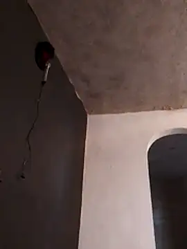 Orlao25cm online show from 11-23-25, 11:26