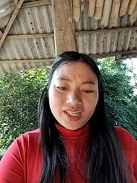 Sinhlinh2020 online show from 11-25-25, 04:56