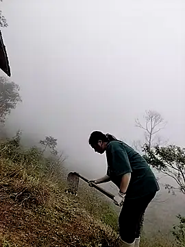 Sinhlinh2020 online show from 03-23-26, 02:48