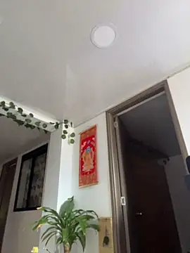 FreszX online show from 04-25-26, 07:11