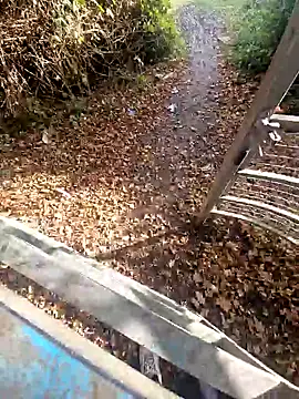 bbyxklaus online show from 11-05-25, 10:26