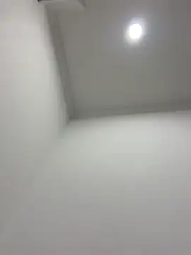 violeta365 online show from 04-11-26, 03:00