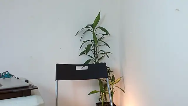 Snapshot of Dulce765b chatting on 03-21-26, 01:37 Dulce765b online show from 03-21-26, 01:37