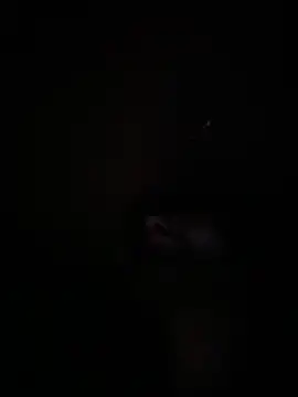 Paapii1098 online show from 12-16-25, 12:48