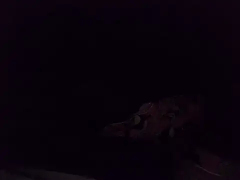 boldiva89 online show from 10-25-25, 01:35