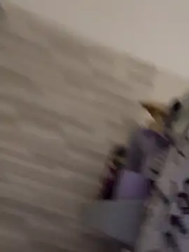 gatitalocahot online show from 03-30-26, 08:32