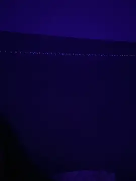 Gia Atkinson online show from 10-24-25, 11:45