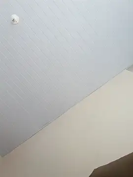 Morenodotado0 online show from 02-24-26, 03:32