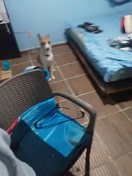 Snapshot of 666Daemon666 chatting on 01-17-26, 05:12 666Daemon666 online show from 01-17-26, 05:12