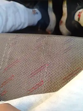 Snapshot of 666Daemon666 chatting on 01-17-26, 11:19 666Daemon666 online show from 01-17-26, 11:19