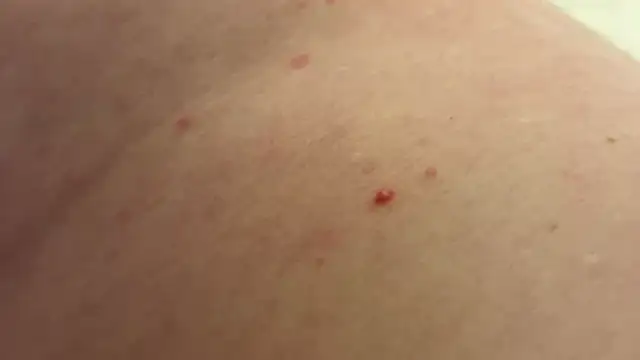 andrenoma427 online show from 01-13-26, 03:23