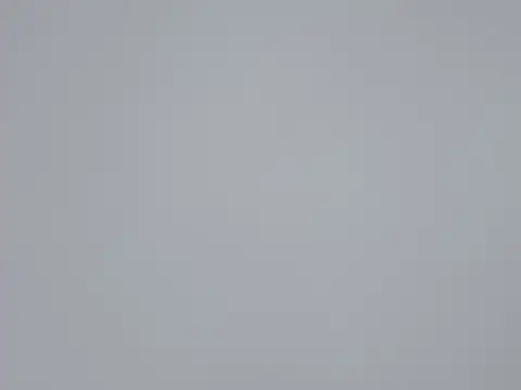 Snapshot of AA-61 chatting on 10-25-25, 07:27 AA-61 online show from 10-25-25, 07:27