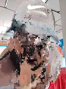 LAPOTRA 04 online show from 04-01-26, 04:15