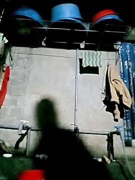 Noelle-e online show from 03-17-26, 11:52