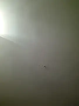 Snapshot of HarrySchwanz1000 chatting on 10-27-25, 02:59 HarrySchwanz1000 online show from 10-27-25, 02:59