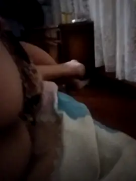 Snapshot of pampa4456 chatting on 12-16-25, 05:23 pampa4456 online show from 12-16-25, 05:23