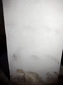 BD 228 online show from 02-19-26, 12:06