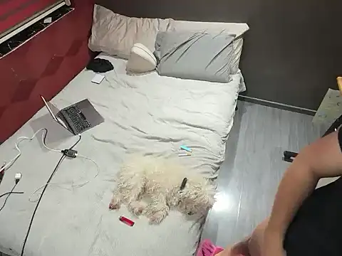 Bbydaddy 0 online show from 01-19-26, 09:57