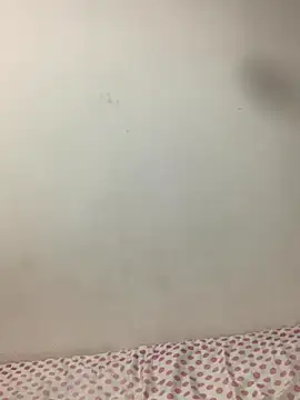 Snapshot of vanessa-242424 chatting on 11-05-25, 12:10 vanessa-242424 online show from 11-05-25, 12:10