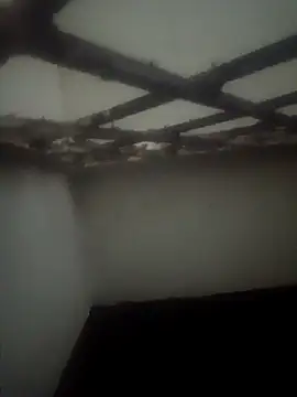 Pallu Asha online show from 03-15-26, 03:51