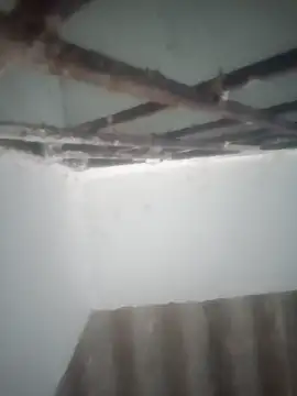 Pallu Asha online show from 03-19-26, 12:58