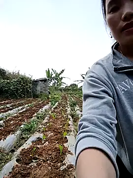 min nyny online show from 12-04-25, 08:34