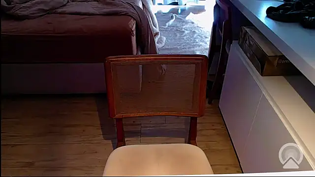 Snapshot of Professor__Discreto chatting on 07-02-26, 04:13 Professor Discreto online show from 07-02-26, 04:13