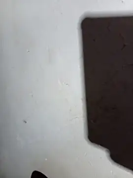 DK 9396 online show from 04-23-26, 06:21