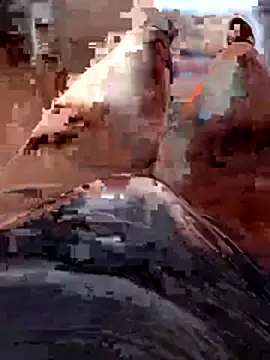 Snapshot of Vanja33 chatting on 11-03-25, 03:35 Vanja33 online show from 11-03-25, 03:35