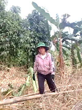 be-yeu online show from 12-02-25, 01:44