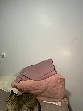 lele inocente online show from 03-11-26, 12:16