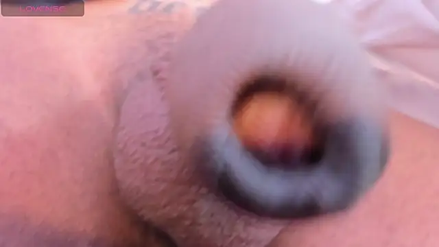 Snapshot of camii_raux chatting on 03-10-26, 09:31 camii raux online show from 03-10-26, 09:31