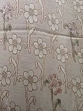 sanjana077 online show from 04-27-26, 04:21