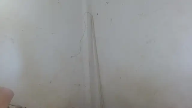 the breasts of desir  online show from 11-11-25, 01:55