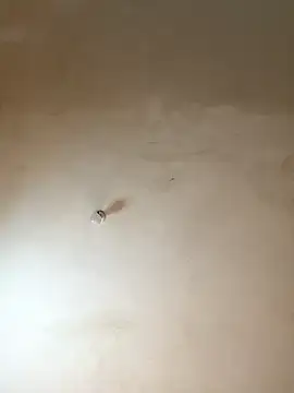 NiaLong21  online show from 01-17-26, 09:58