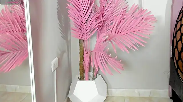 Tamaramilleer online show from 02-02-26, 03:49