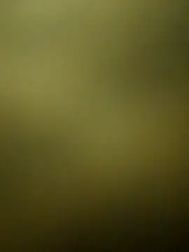 crazy boy55 online show from 12-15-25, 05:28